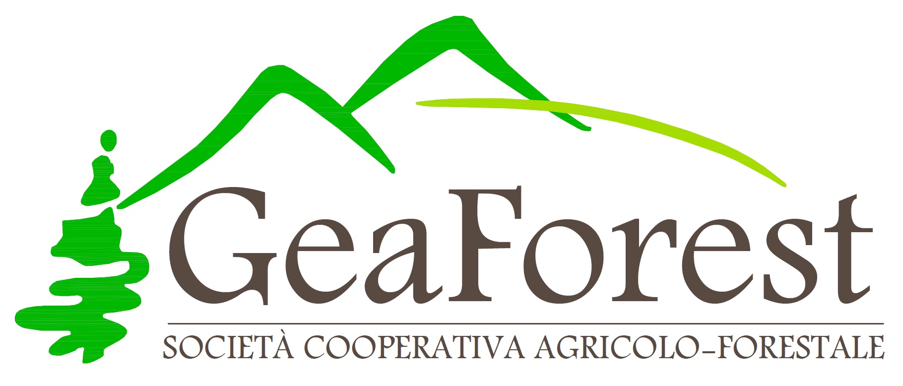 GEAFOREST SOC. COOP. AGR.-FOR.